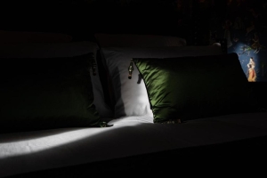 Indienne de Nantes, Quelle: (c) Château de Maubreuil