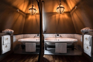 Retour de Voyage, Quelle: (c) Château de Maubreuil