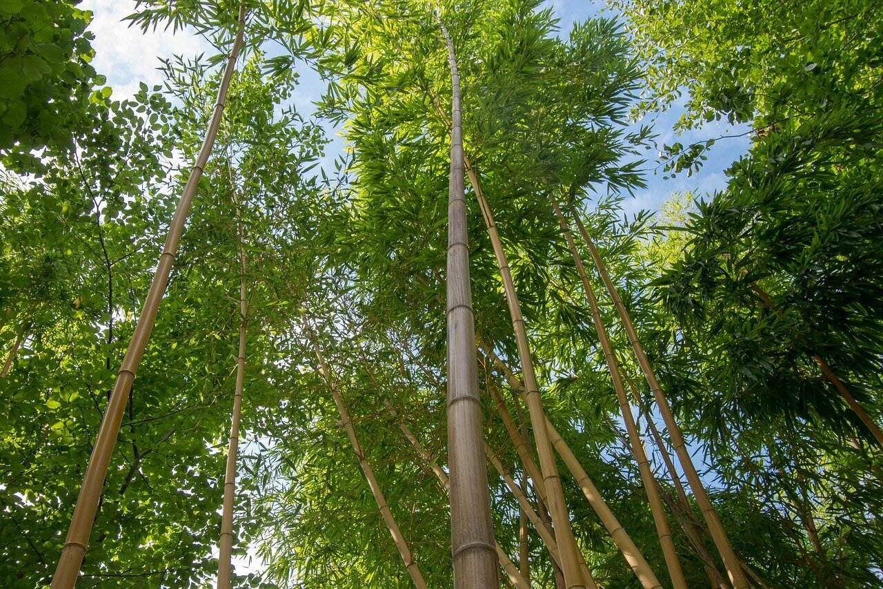 Die beliebtesten Städte