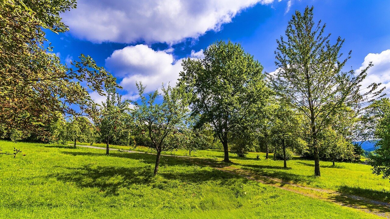 Urlaubsorte & Reiseziele