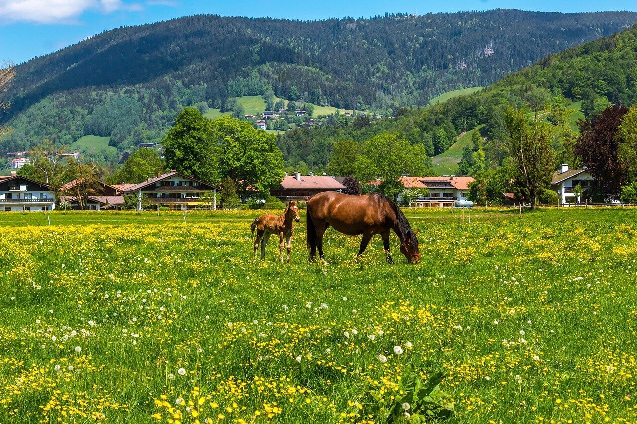 Urlaubsorte & Reiseziele