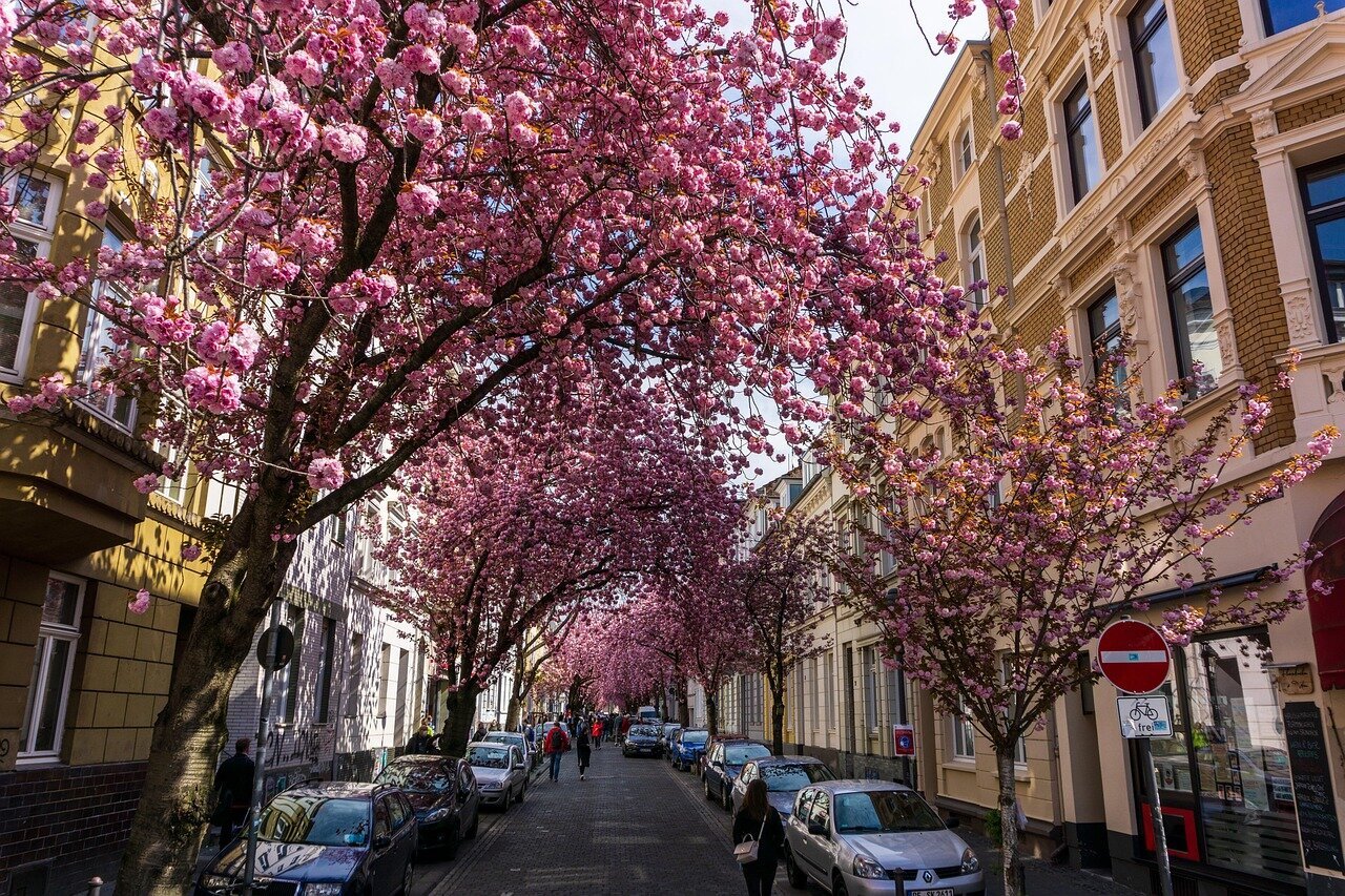 Die beliebtesten Städte