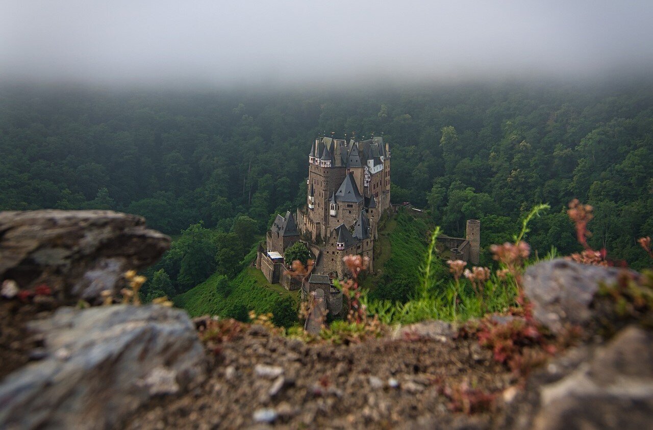 Rieslingtrauben und Mosel