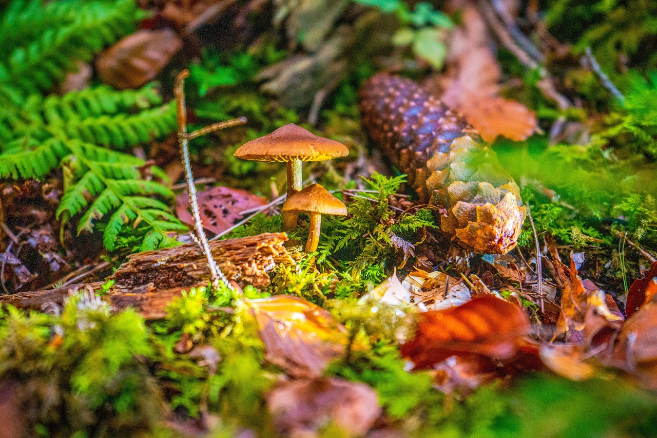 Urlaubsorte & Reiseziele