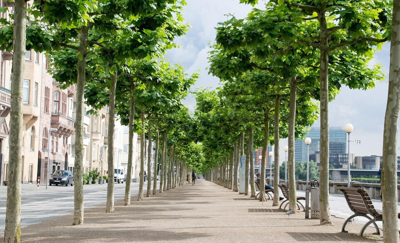 Die beliebtesten Städte