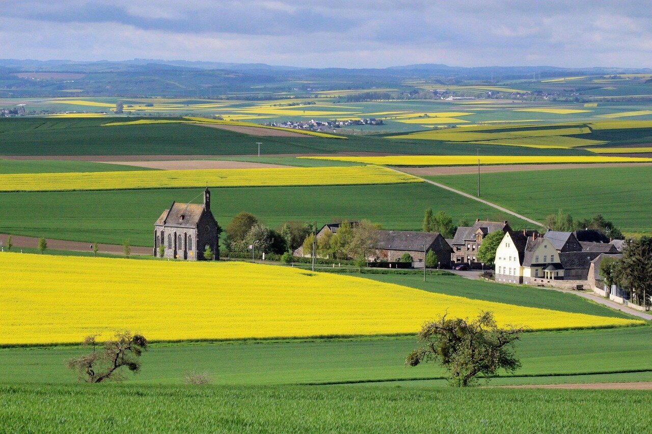 Rieslingtrauben und Mosel