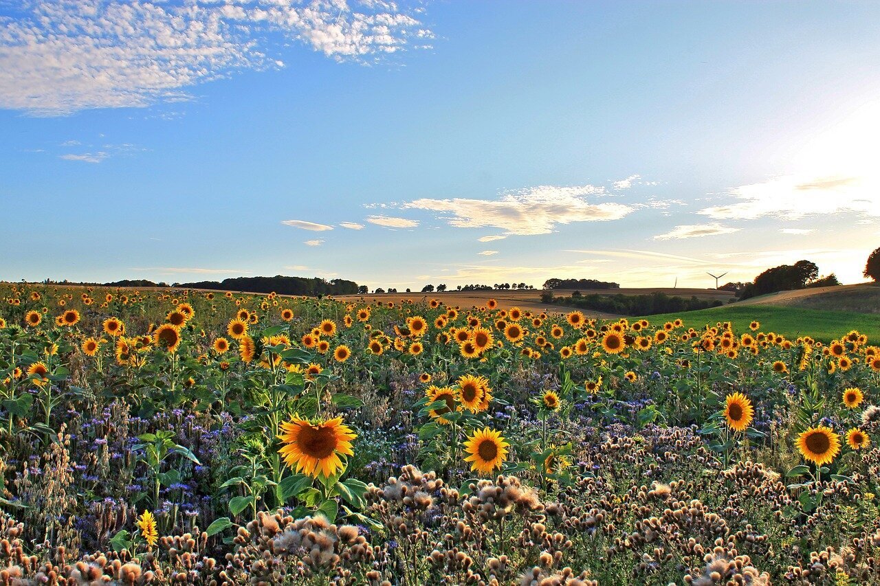 Urlaubsorte & Reiseziele
