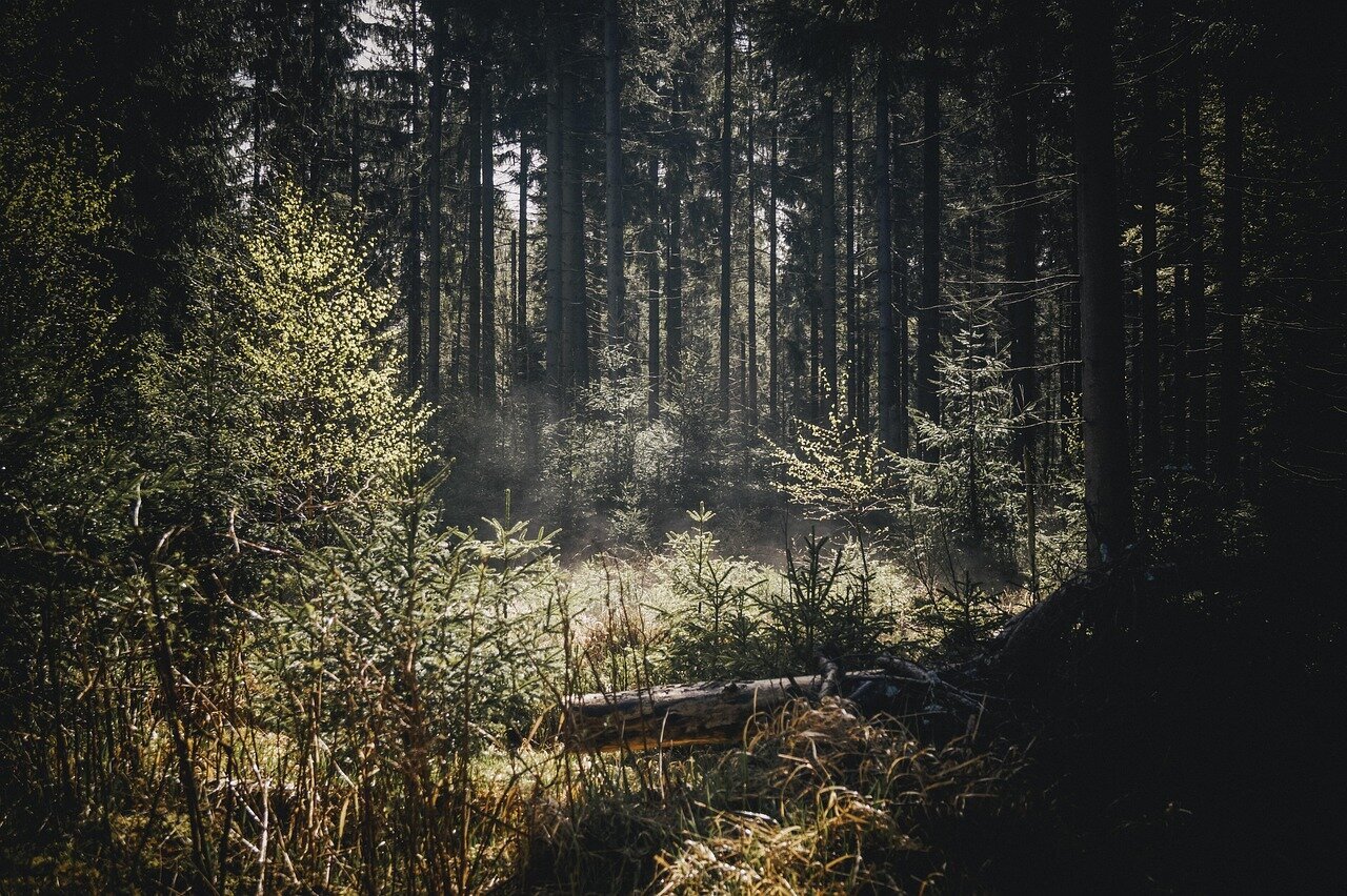 Urlaubsorte & Reiseziele