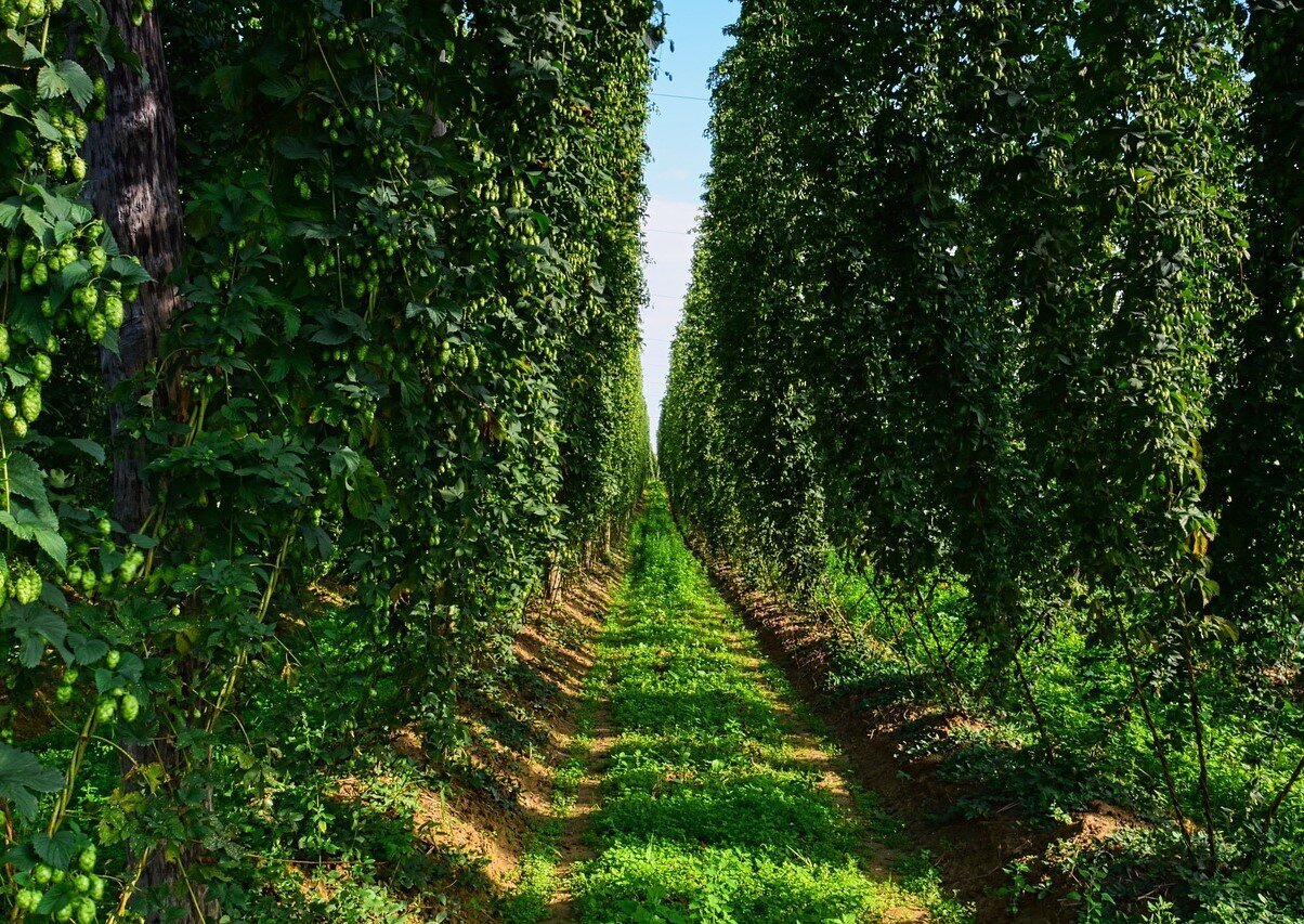 Urlaubsorte & Reiseziele