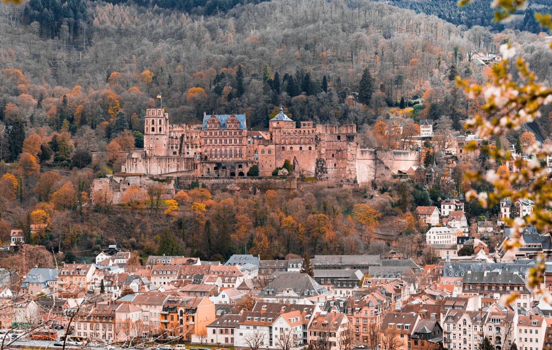 Die beliebtesten Städte