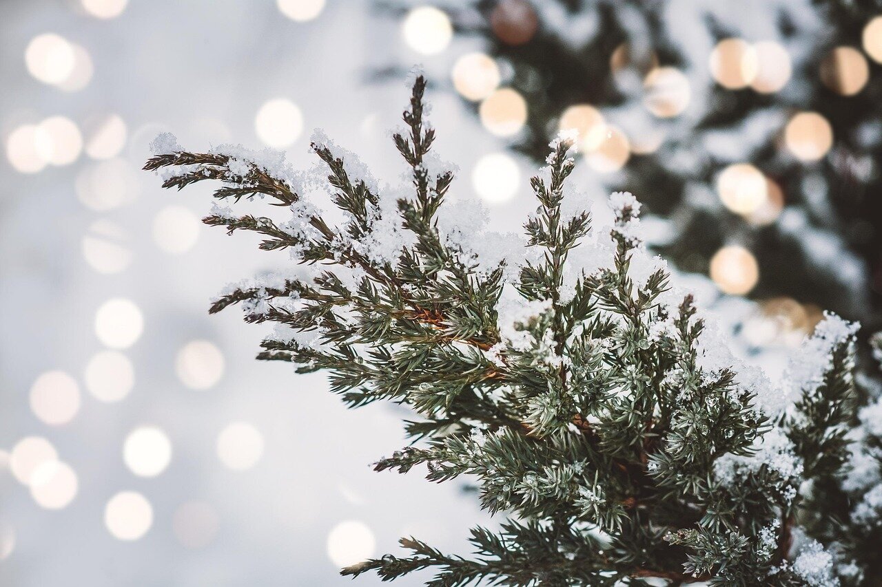 Die beliebtesten Städte