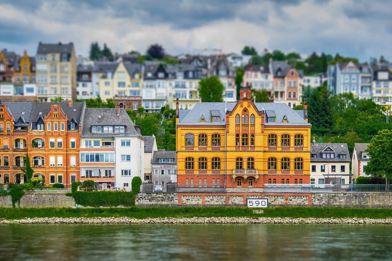 Rieslingtrauben und Mosel