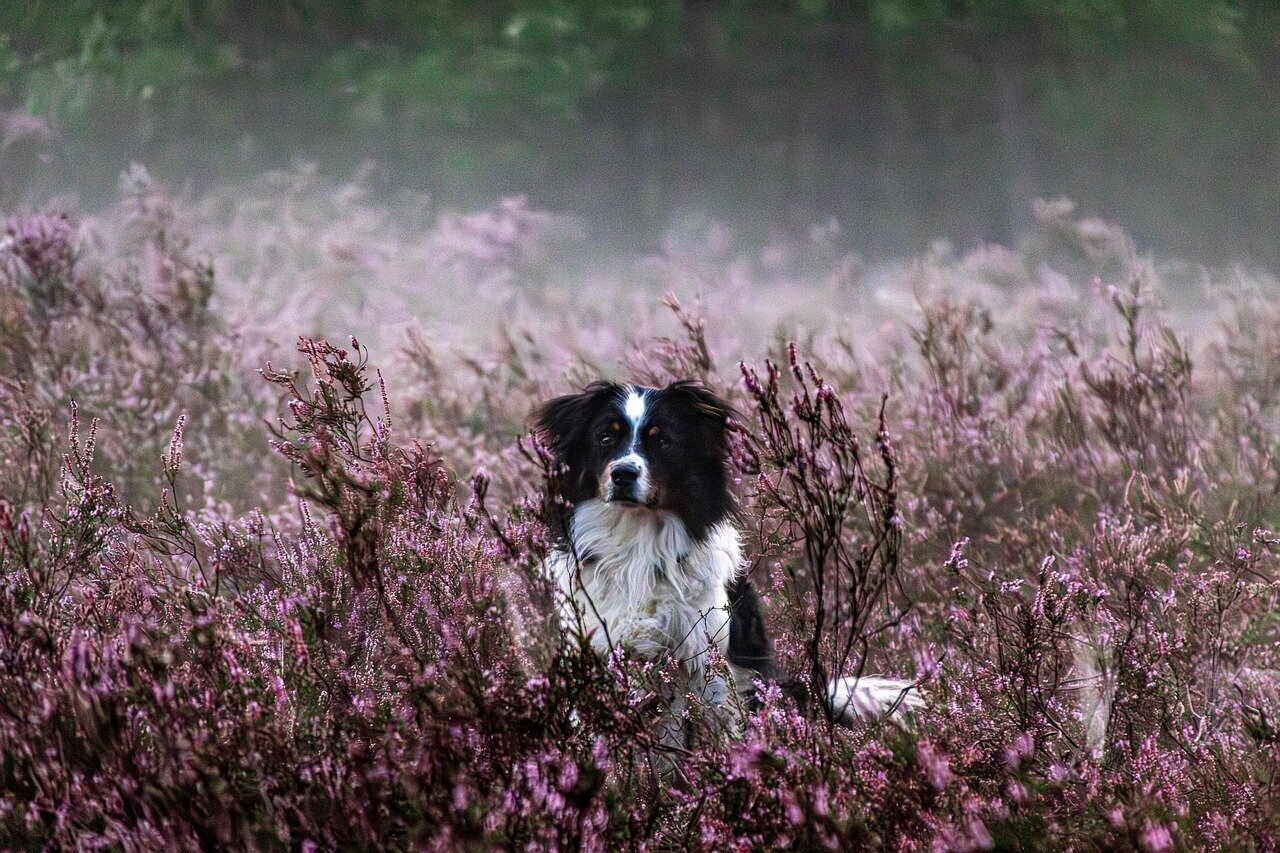 Urlaubsorte & Reiseziele