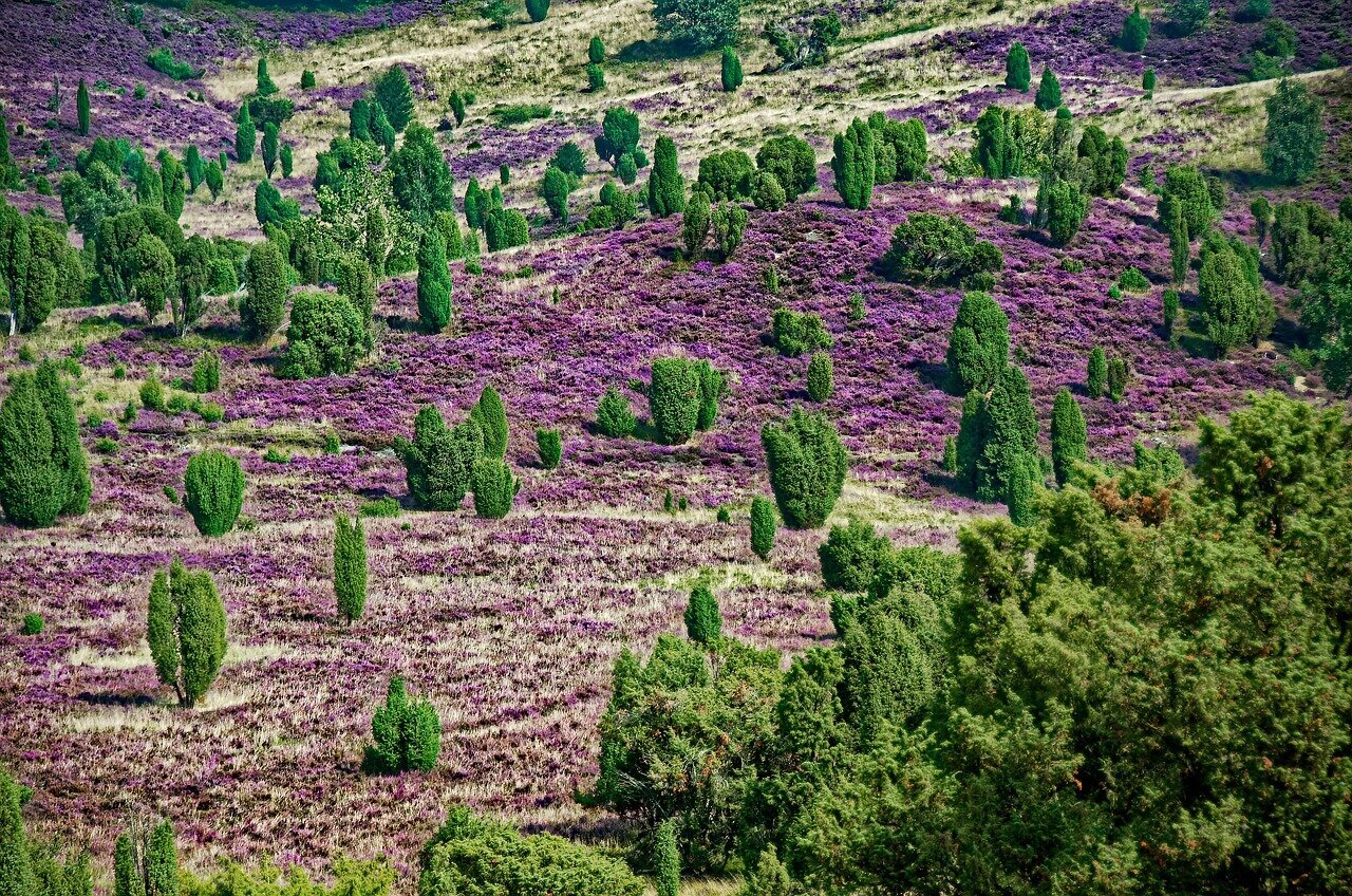 Urlaubsorte & Reiseziele