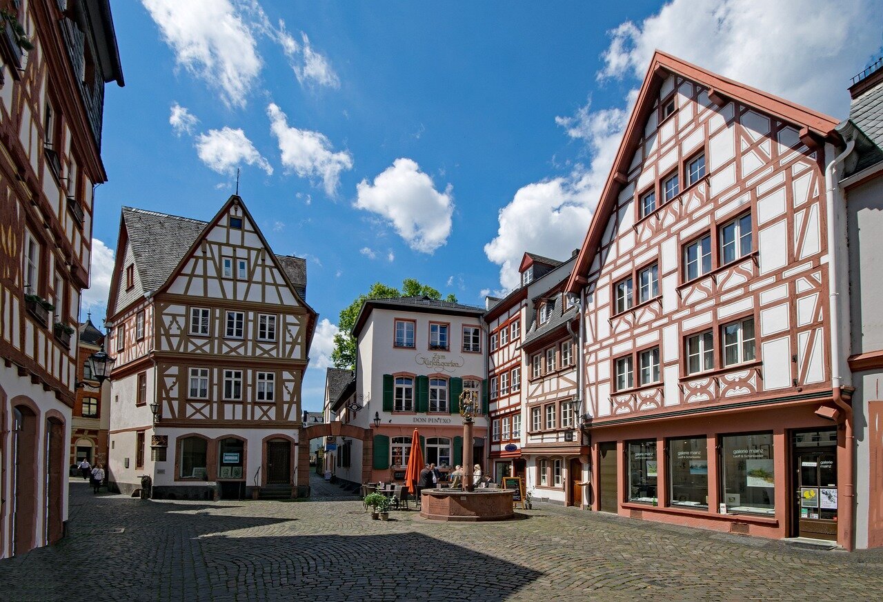 Rieslingtrauben und Mosel