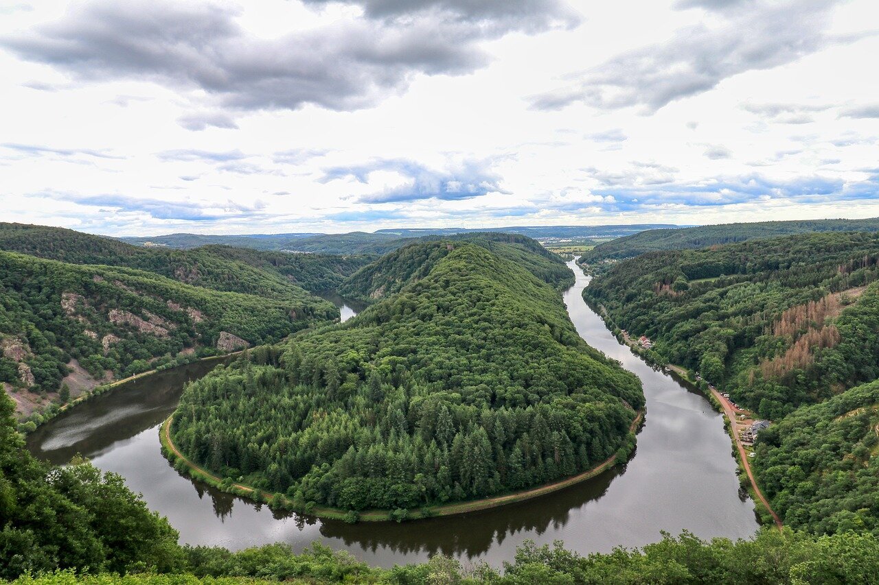 Rieslingtrauben und Mosel