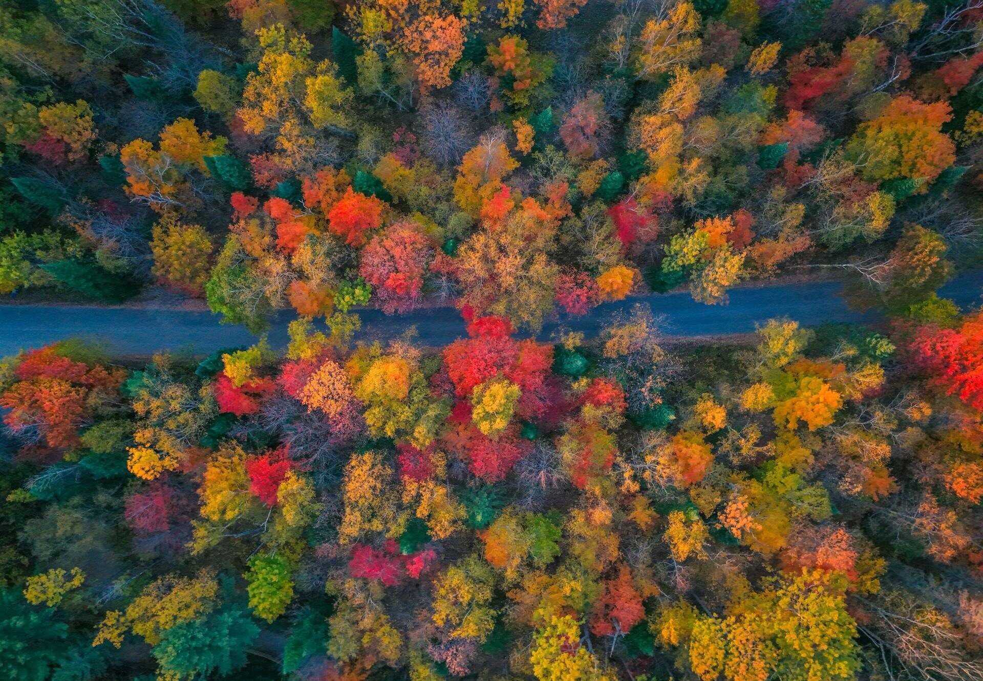 Urlaubsorte & Reiseziele