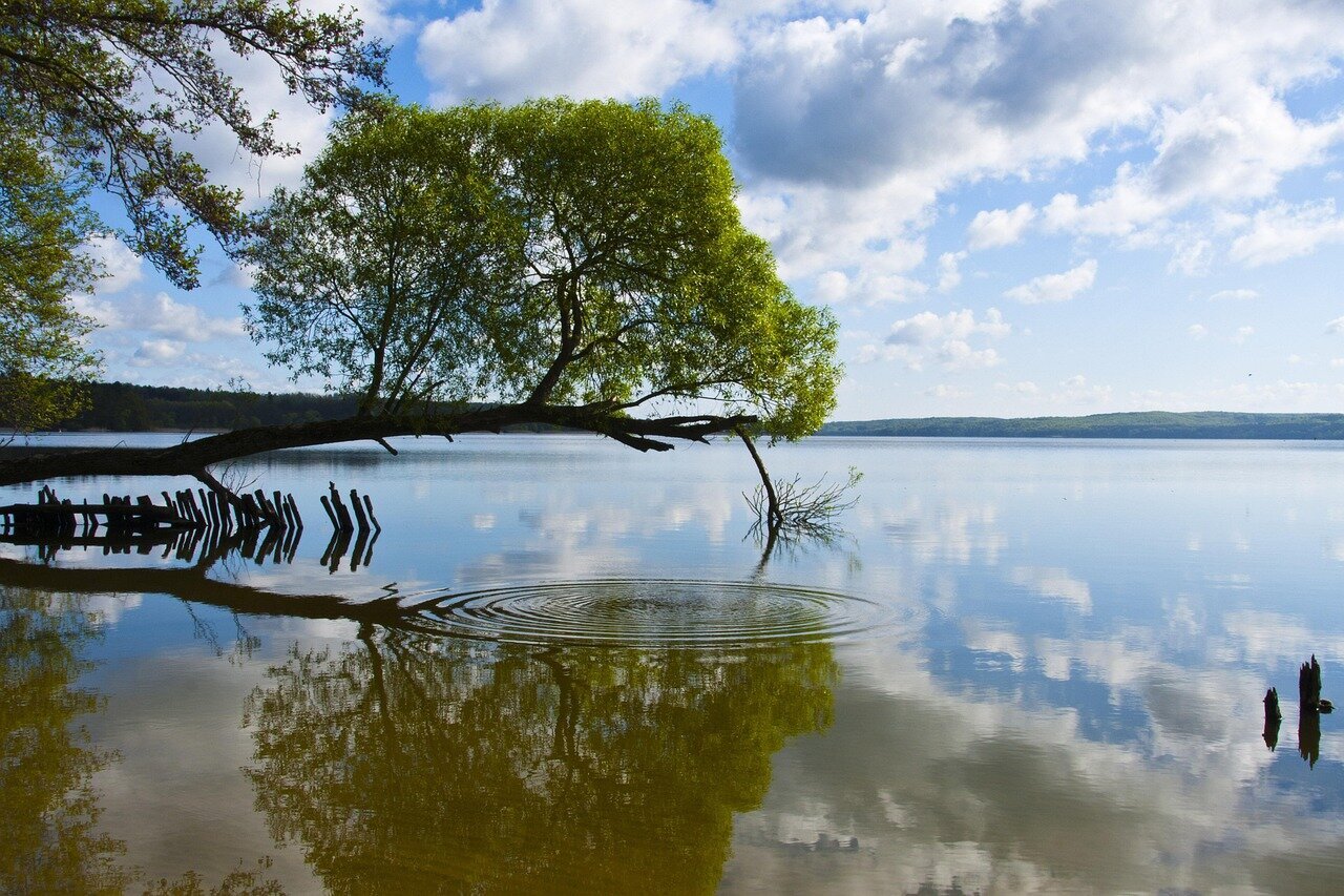Landschaft