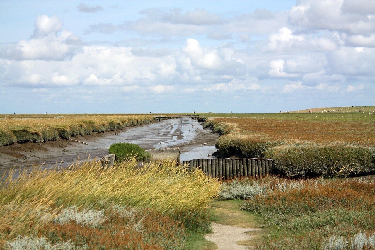 Strandstühle Ost-See