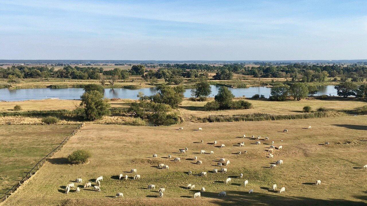 Brandenburg