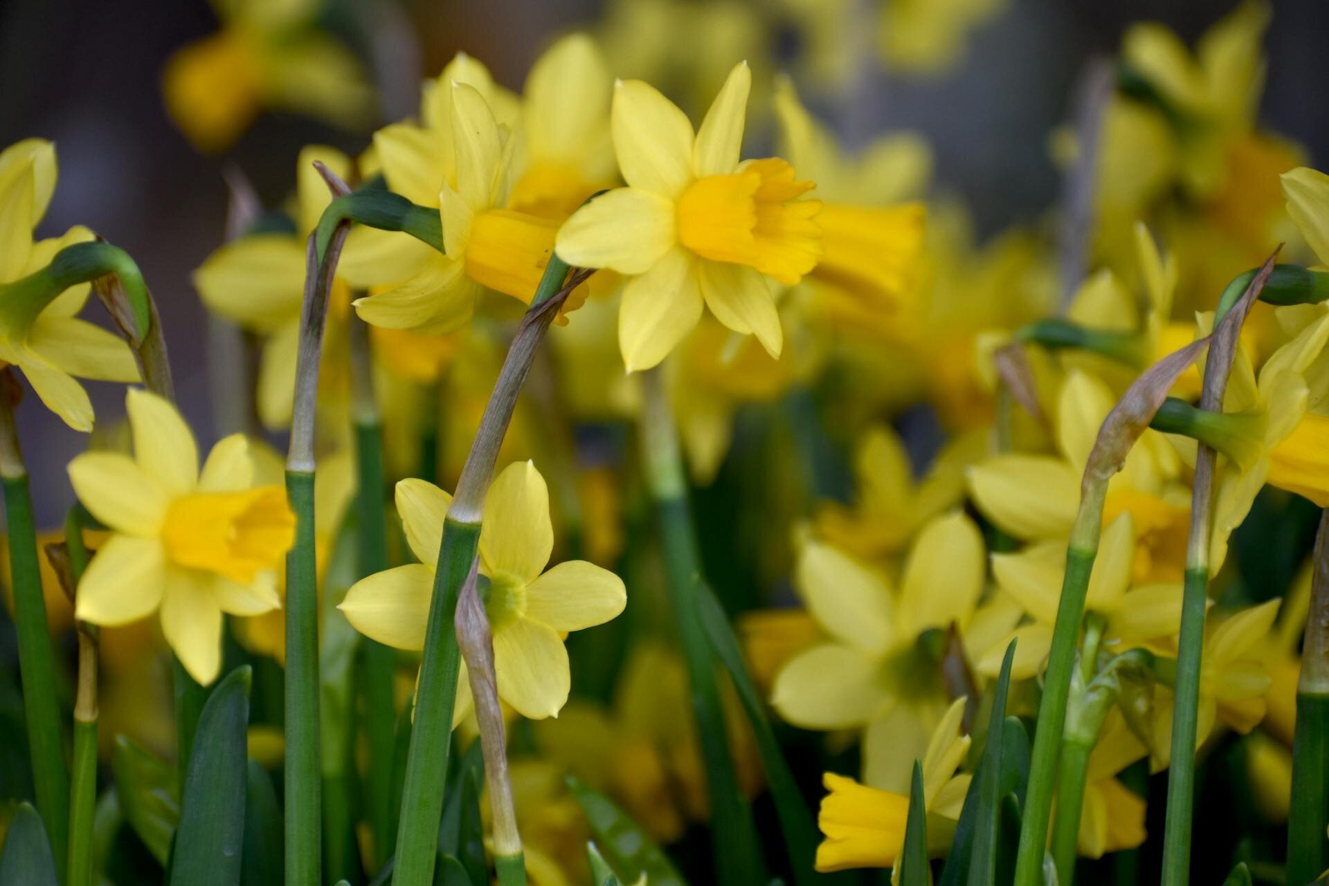 Die schönsten Sehenswürdigkeiten