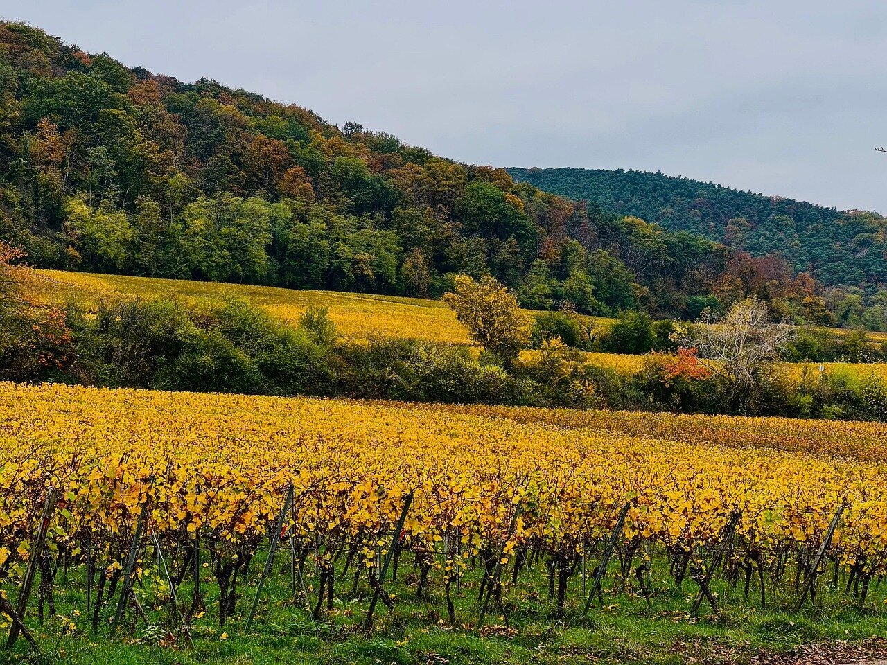 Urlaubsorte & Reiseziele