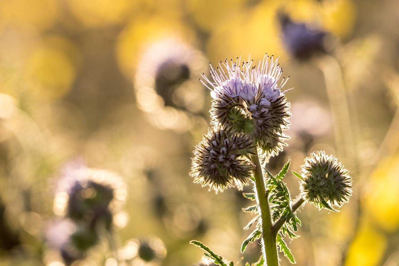 Urlaubsorte & Reiseziele