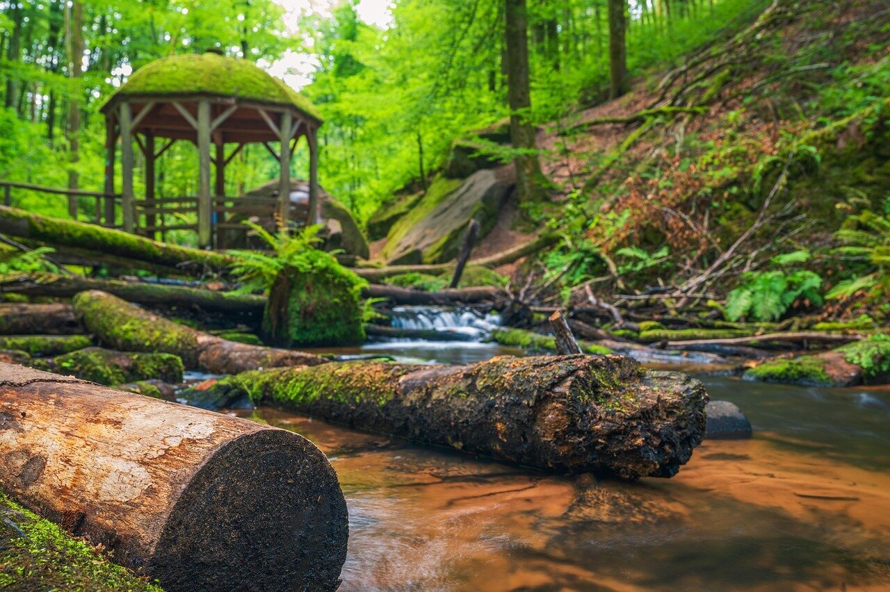 Urlaubsorte & Reiseziele