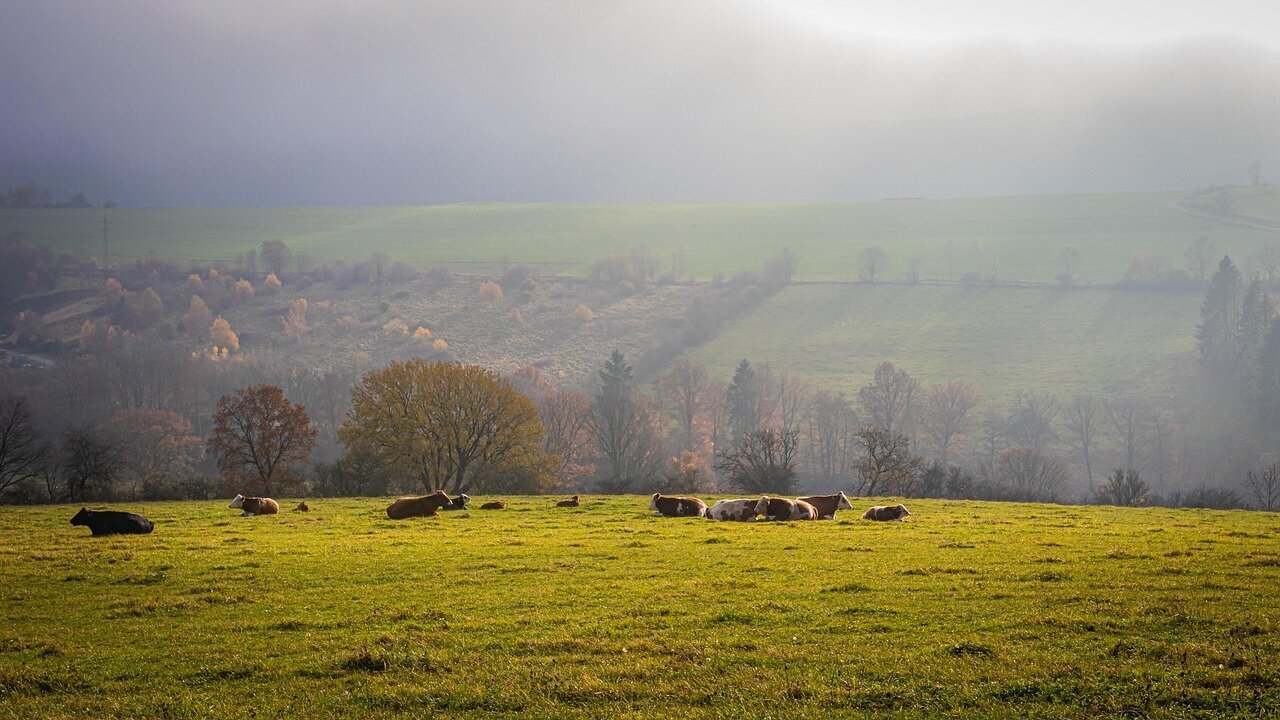 Urlaubsorte & Reiseziele
