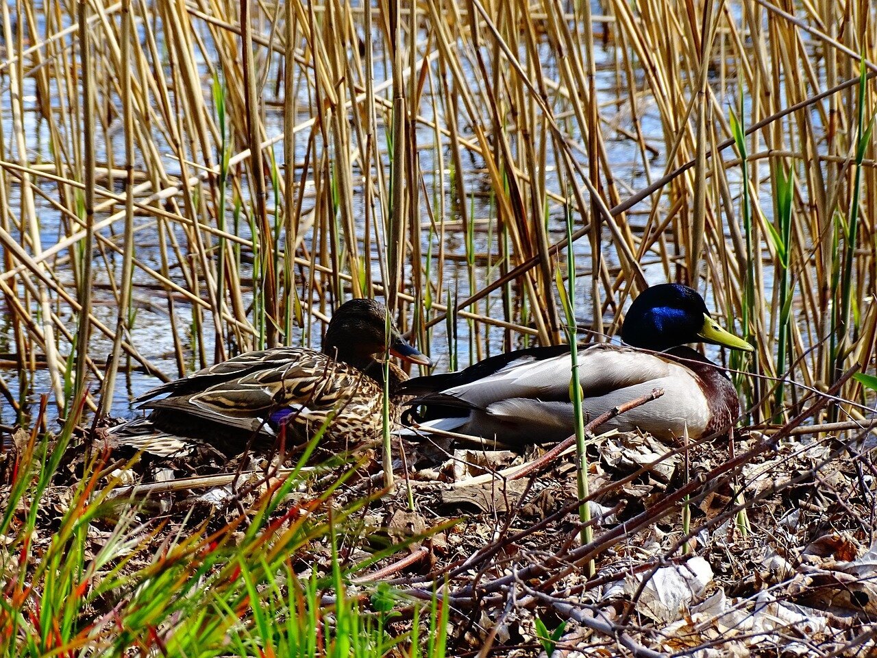 Urlaubsorte & Reiseziele