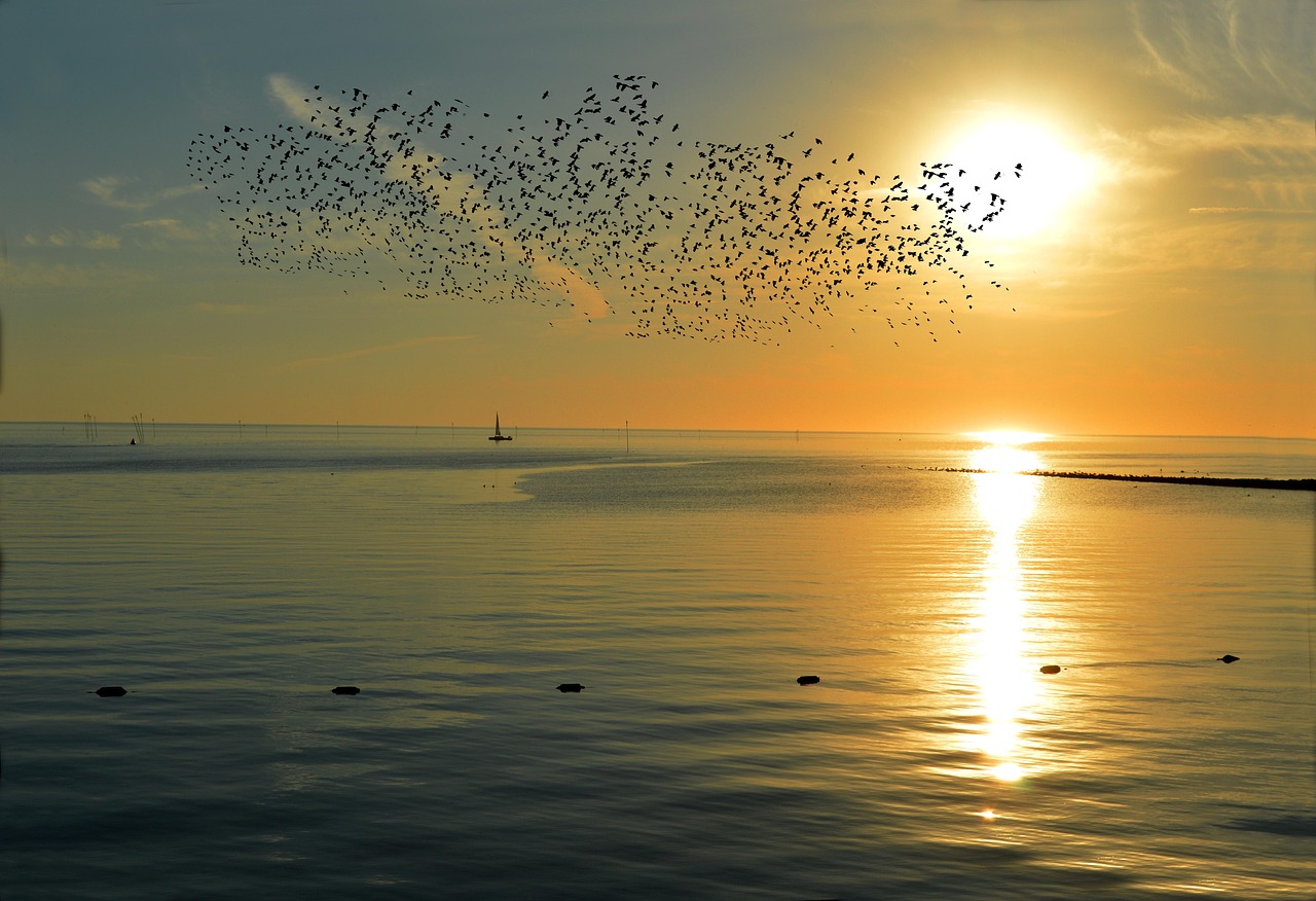 Urlaubsorte & Reiseziele