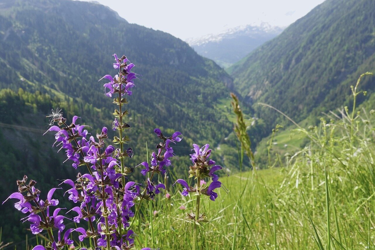 Urlaubsorte & Reiseziele