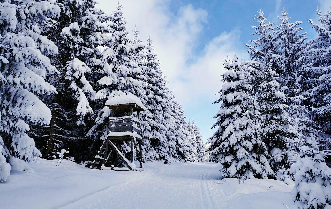 Die beliebtesten Städte