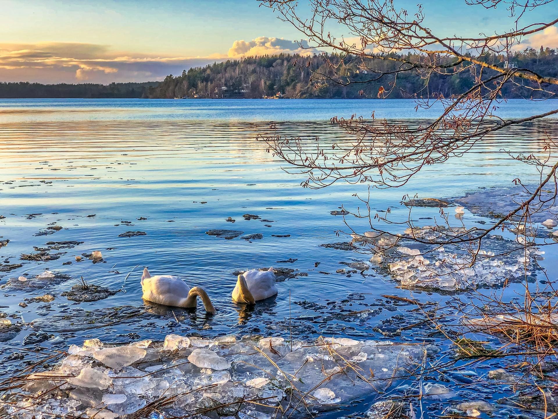 Urlaubsorte & Reiseziele