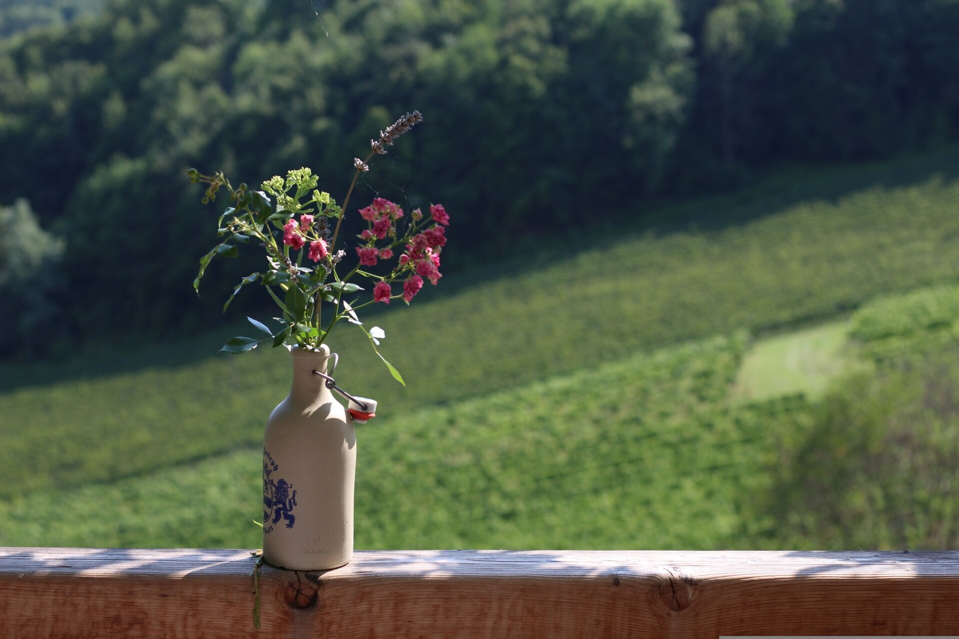 Urlaubsorte & Reiseziele