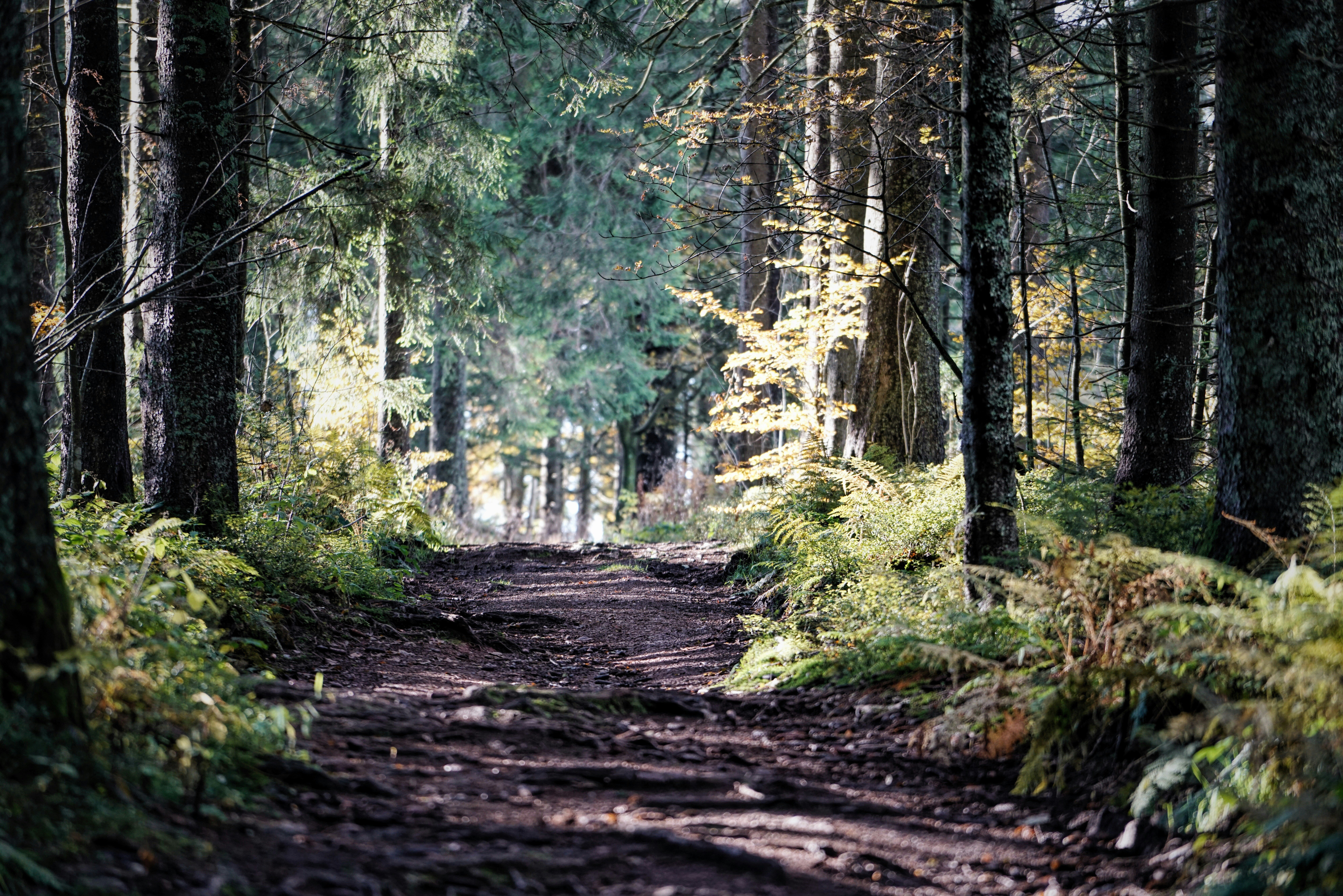 Urlaubsorte & Reiseziele