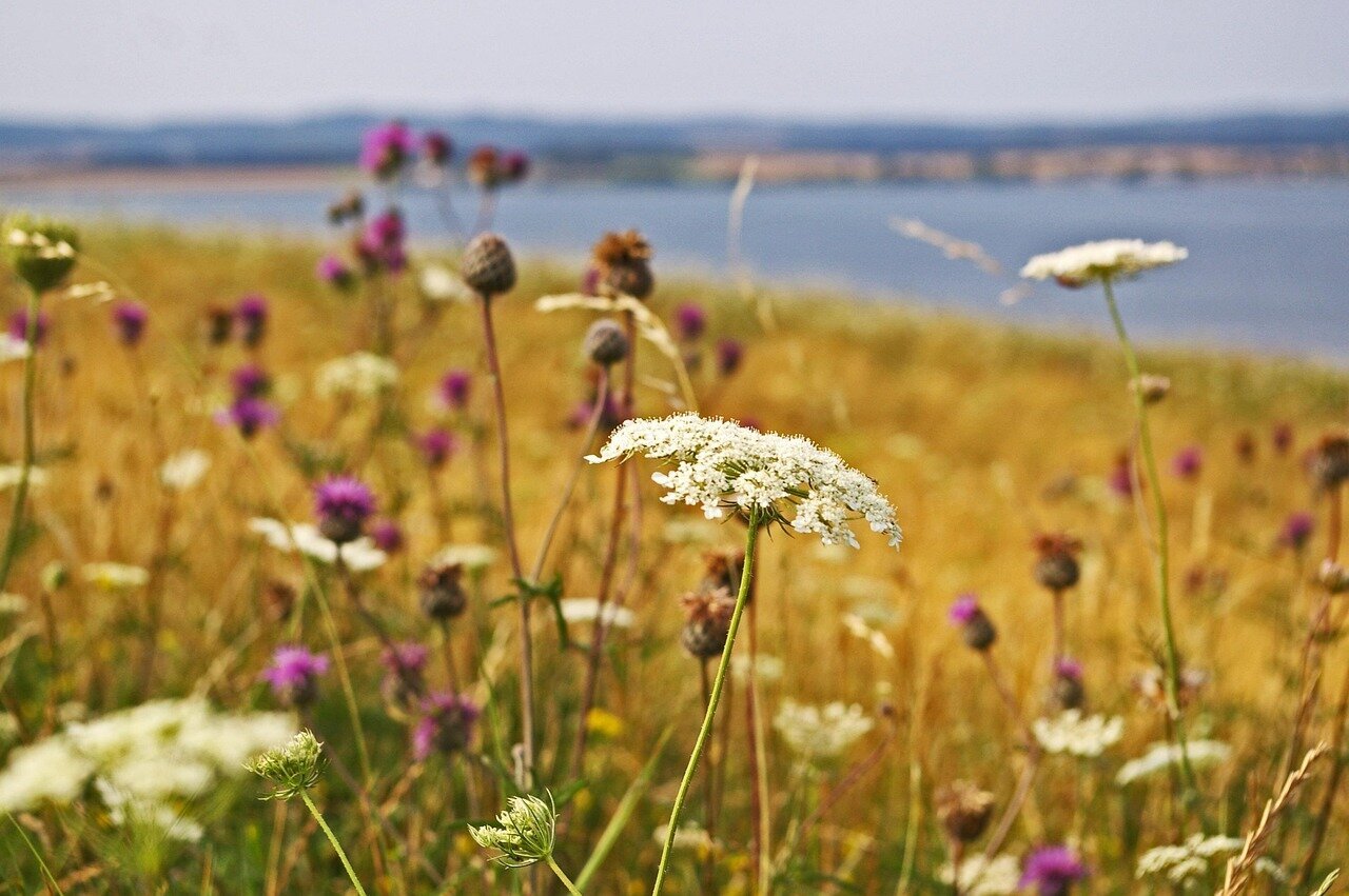 Landschaft