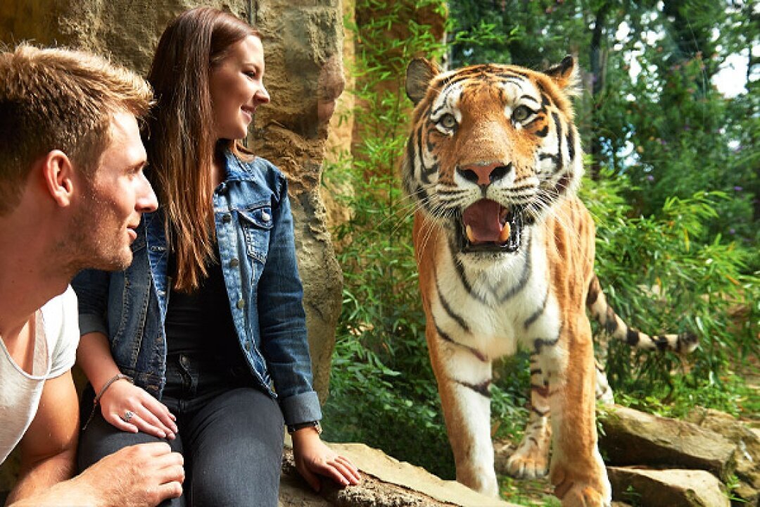 Die schönsten Sehenswürdigkeiten