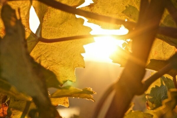 Beautywochenende an der Mosel