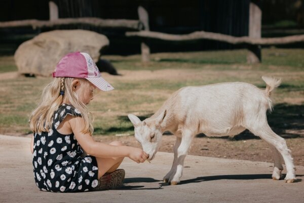 Kind mit Ziege Kind mit Ziege