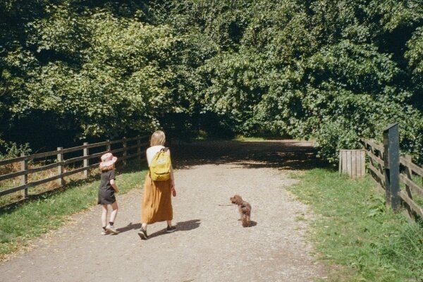 Spazieren mit Kind und Hund