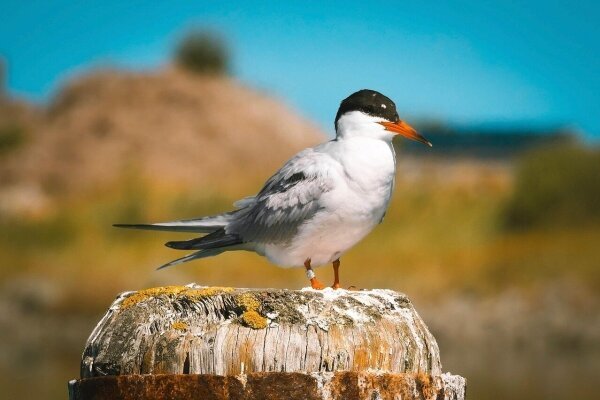 Gruppenreisen zur Nordsee