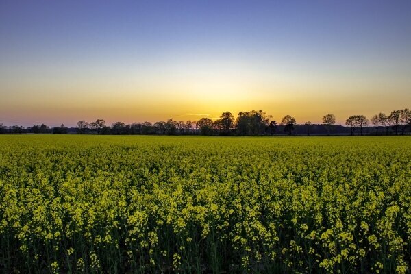 Liebeshotel Niedersachsen