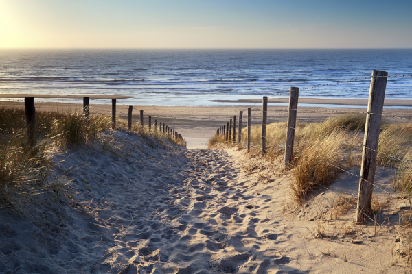 Weg zu North Meer Strand in gold sunshine  