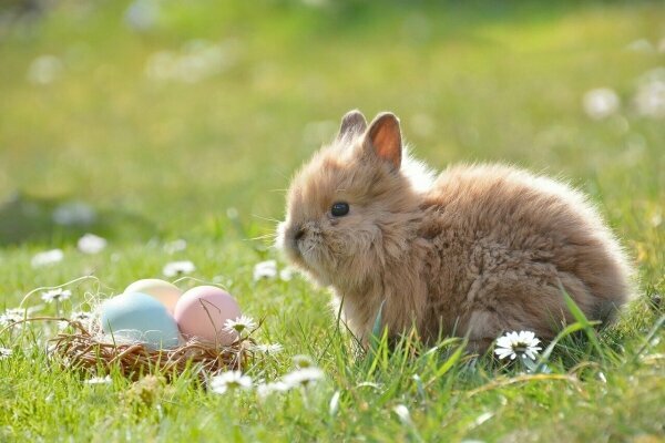 Ostern in Hunsrück