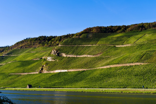 Pfingsten an der Mosel