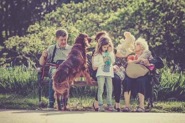 Urlaub mit Hund am Mittelrhein