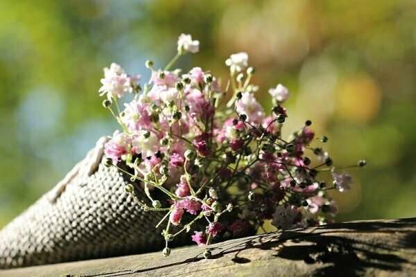 Valentinstag im Alten Land