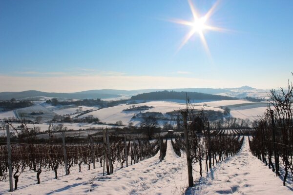 Winterlandschaft Odenwald