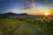 Weinhang mit farbenfrohen Sonnenaufgang in der Pfalz, Deutschland  